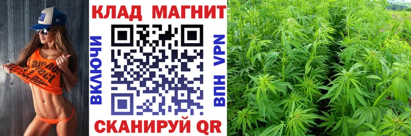 Какие есть наркотики Электроугли Кокаин Alpha PVP Меф мяу мяу