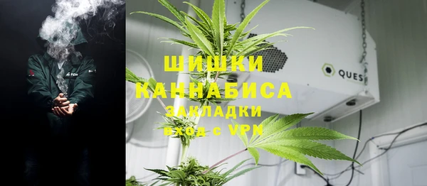 спайс Нея