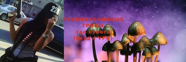 спайс Нея