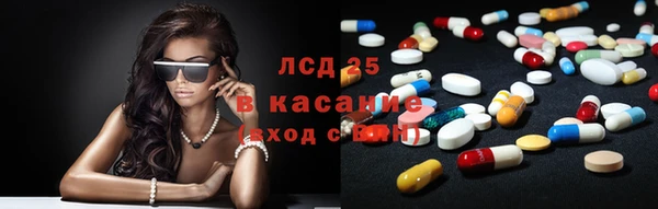 стафф Нефтекумск