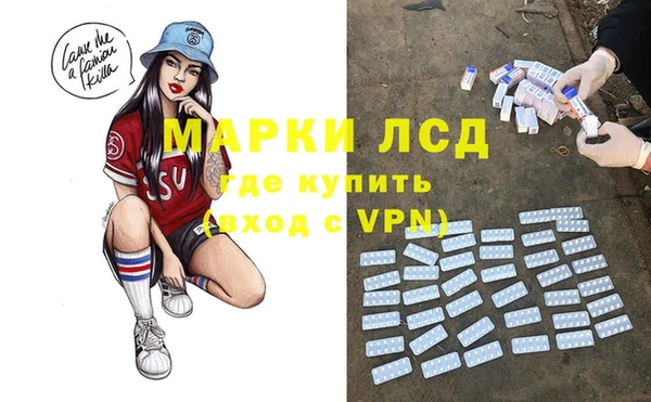 спайс Нея