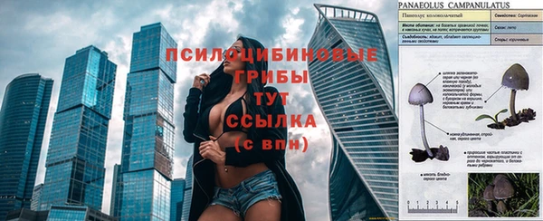 синтетический гашиш Нефтегорск