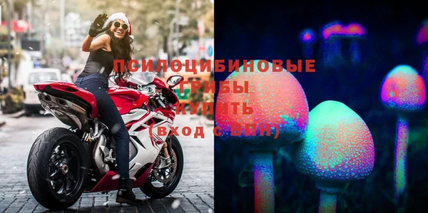 стафф Нефтекумск