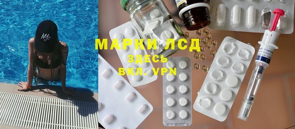 спайс Нея