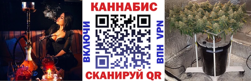 ссылка на мегу как войти  Электроугли  Бошки марихуана Bruce Banner 